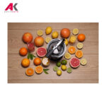 آب مرکبات گیری گرنیه مدل GORENJE CJ100HE