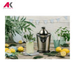 آب مرکبات گیری گرنیه مدل GORENJE CJ100HE