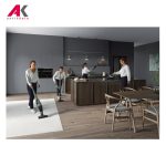 جاروشارژی آاگ مدل AEG QX6-1-40OG