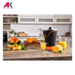 آب مرکبات گیری ناسا مدل NASA NS-960