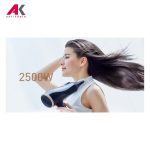 سشوار مو پاناسونیک مدل PANASONIC EH-NE82
