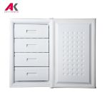 فریزر ایستکول مدل EASTCOOL 1946