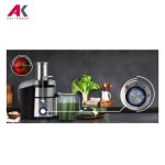 آبمیوه گیری ناسا مدل NASA NS-917