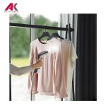 اتو بخارگر آاگ مدل AEG HS6-1-2EG