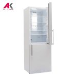 یخچال فریزر اسنوا مدل SNOWA SN4-2023LW