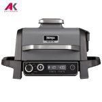 گریل باربیکیو برقی نینجا مدل OG701