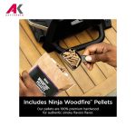 گریل باربیکیو برقی نینجا مدل OG701