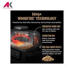 گریل باربیکیو برقی نینجا مدل OG701