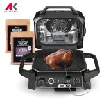 گریل باربیکیو برقی نینجا مدل OG751