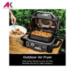 گریل باربیکیو برقی نینجا مدل OG751