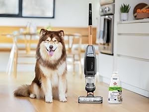 نقد و بررسی جاروشارژی و زمین شوی بیسل مدل CROSSWAVE X7 CORDLESS PET 3011
