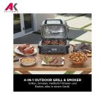 گریل باربیکیو برقی نینجا مدل NINJA OG850EU