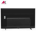 تلویزیون نیوان اسنوا