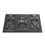 صفحه گازی توکار آلتون مدل ALTON G530DN