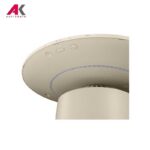 تصفیه هوا ال جی مدل LG AS20GPBK0