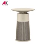 تصفیه هوا ال جی مدل LG AS20GPBK0