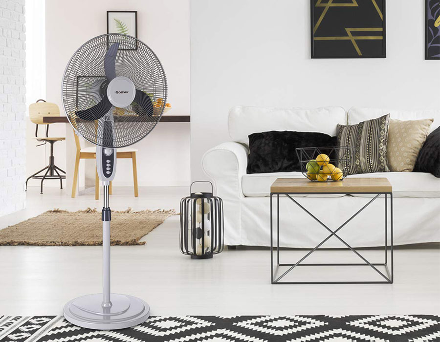 Fan-Category-Antikkala-01