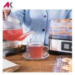 میوه و سبزی خشک کن گاستروبک مدل GASTROBACK 46600