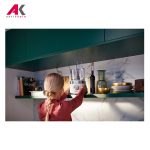 غذاساز فیلیپس مدل PHILIPS HR7520