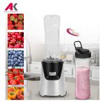 مخلوط کن پروفی کوک مدل PROFICOOK PC-SM 1153
