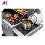 باربیکیو پروفی کوک مدل PROFICOOK PC-GG 1058