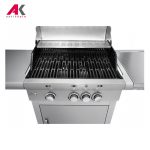 باربیکیو پروفی کوک مدل PROFICOOK PC-GG 1058