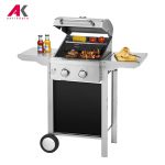 باربیکیو پروفی کوک مدل PROFICOOK PC-GG 1128