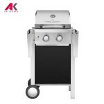 باربیکیو پروفی کوک مدل PROFICOOK PC-GG 1128