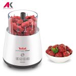 خردکن تفال مدل TEFAL DPA130